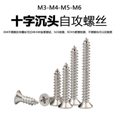 304不锈钢 KA M3-M6 沉头自攻螺丝钉 GB846 十字槽平 头自攻螺丝螺图3