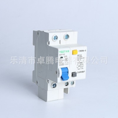卓腾厂家直销 空气开关 DZ47-63 C40 2P小型漏电断路器短路保护器图2