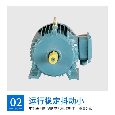 批发YE3三相异步电动机380V3KW4极0.55KW至4KW现货供应全铜足功率图3