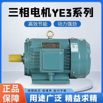 批发YE3三相异步电动机380V3KW4极0.55KW至4KW现货供应全铜足功率图2