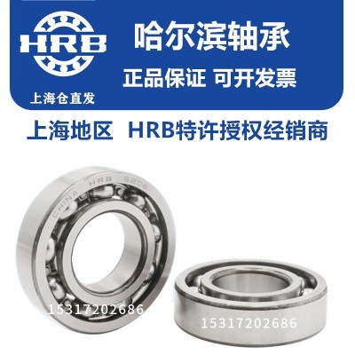 哈尔滨轴承6316 6317 6318 6319 6320 6321 6322 6324 6326 6328图4