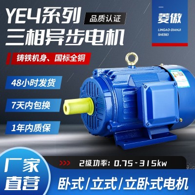 2极YE4三相异步电动机0.75kw-315kw国标全铜电机380V交流马达电机