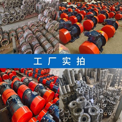 YZS/D/O系列卧式振动电机 振动筛专用振动马达 仓壁激振器图2