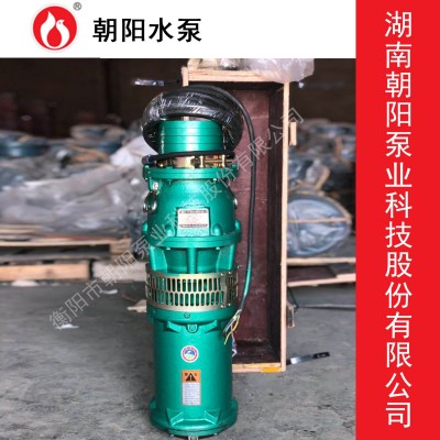 大流量潜水泵QY-50立方-22米扬程-5.5KW郴州现货批发朝阳抽水泵图5