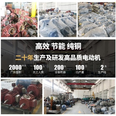 工厂直供三相异步电动机YE3-225M-4 45KW4P(45千瓦4极)多型号电机图3