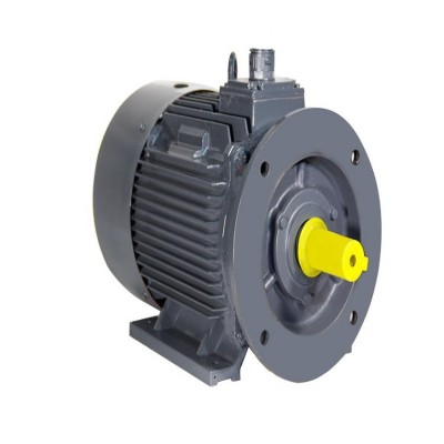新大力电机TYCP160M2-8-30KW永磁变频电机系列节能电机图3