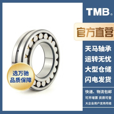 TMB/天马轴承旗舰店22319CA/W33调心滚子轴承 重型负荷K图3