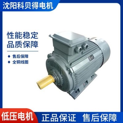 【科贝得】YE4系列（IP55）机座号（H80-355）电机 二级能效 厂家质保图4