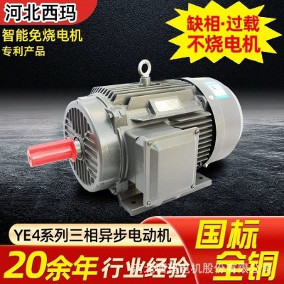 西玛电机厂家YE3三相异步电机现货5.5KW/7.5千瓦交流电机图3