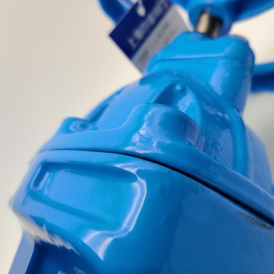 白湖阀门 Z45X-16Q球墨铸铁法兰弹性座密封闸阀 暗杆软密封闸阀图4