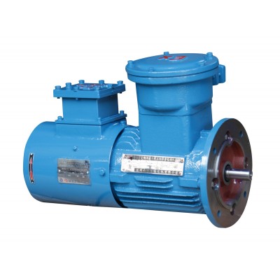 变频防爆电机(防爆电机）YBPT-200L-4 30kW图3