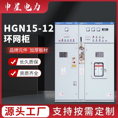10KV高压成套配电箱开关柜隔离环网柜HGN15-12中置柜进线出线柜