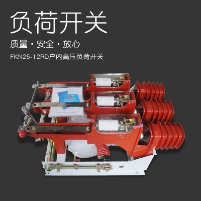 10KV户内真空负荷开关FZN25-12RD/630-20 FZRN25熔断器组合电器图2
