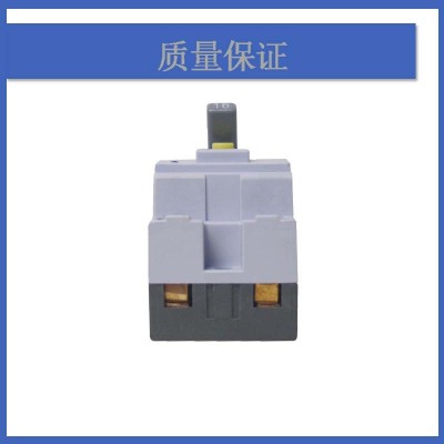 新款NT50LE-30A漏电保护断路器110V/220V小型2P1E20A迷你开关RCBO图2