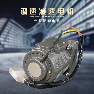 微型电机6W220V交流齿轮减速电机/调速电机 2IK6RGN-C 小型马达图3