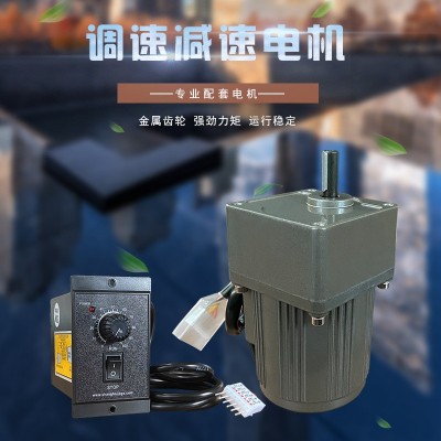 微型电机6W220V交流齿轮减速电机/调速电机 2IK6RGN-C 小型马达图4