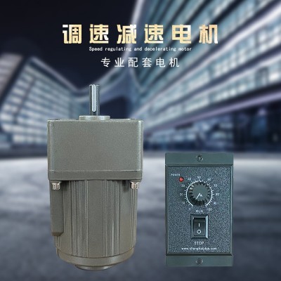 微型电机6W220V交流齿轮减速电机/调速电机 2IK6RGN-C 小型马达图5