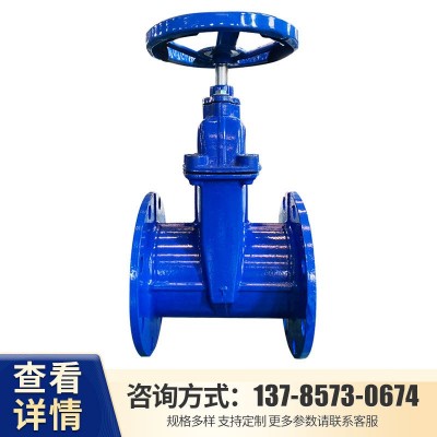现货直供 Z45X暗杆软密封闸阀 球墨铸铁法兰闸阀 弹性座封闸阀图4
