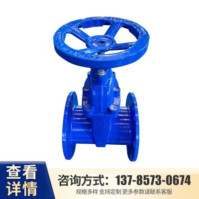 现货直供 Z45X暗杆软密封闸阀 球墨铸铁法兰闸阀 弹性座封闸阀图3
