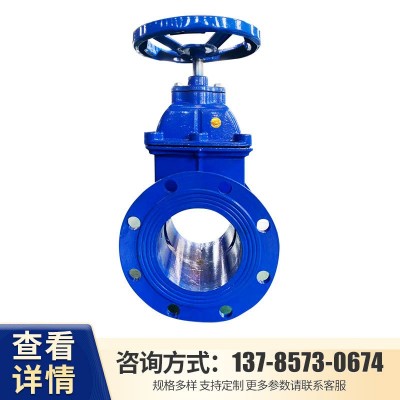 现货直供 Z45X暗杆软密封闸阀 球墨铸铁法兰闸阀 弹性座封闸阀图2