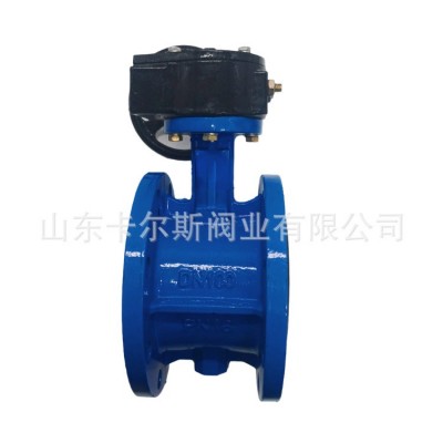D341X-16Q 涡轮软密封蝶阀 球墨铸铁法兰蝶阀 烤漆重体图5
