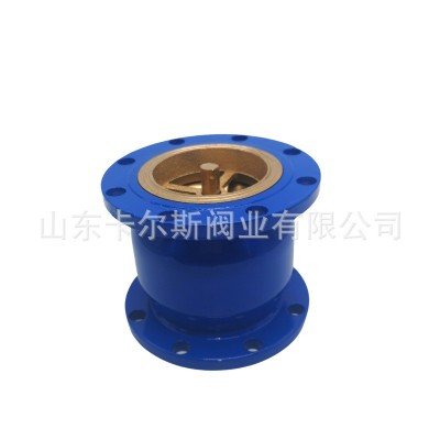 钢体消声止回阀 HC41X-16C 法兰消音立式逆止阀图3