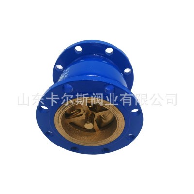 钢体消声止回阀 HC41X-16C 法兰消音立式逆止阀图2
