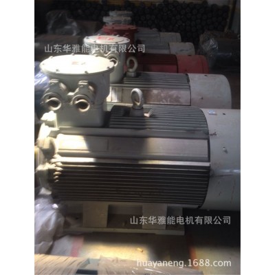 YSP电机不锈钢格兰头YTSP132S2-2-7.5电机防护安全爱你一直未改变图4