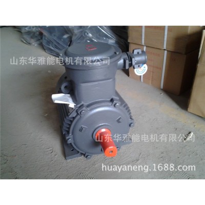 粉尘防爆型三相异步电动机YFB3-225M-4-45KW电机YFB2隔爆三相电机图4