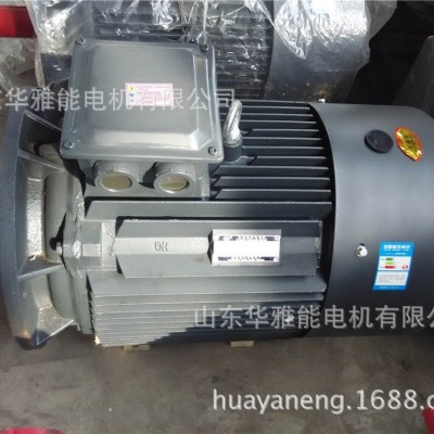 水泵ISG100-200A-18.5kw配水泵电机YE3立式电机成套发货价格质量图2