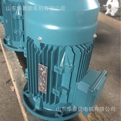 水泵ISG100-200A-18.5kw配水泵电机YE3立式电机成套发货价格质量图4