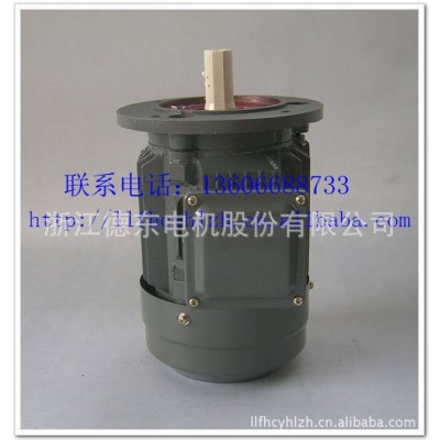 厂家直销优质德东电机Y2-80M1-2（0.75KW-2）三相异步电动机.马达图2
