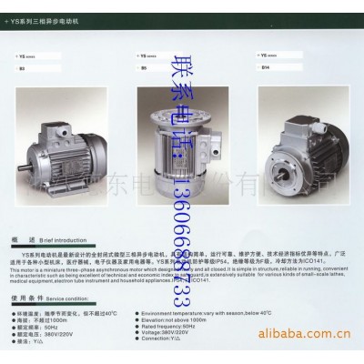 厂家直销上海德东电机厂YS6314（0.12KW）小功率三相铝壳电动机图4