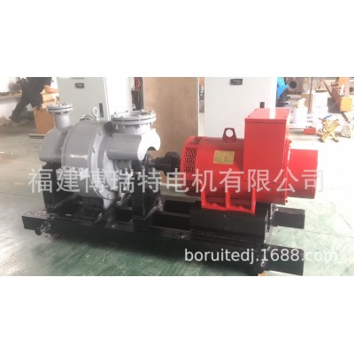 博瑞特TFW系列高速发电机3000转2级特种发电机汽轮蒸汽图4