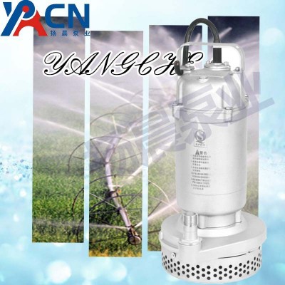 Q(D)X系列不锈钢小型潜水电泵图4