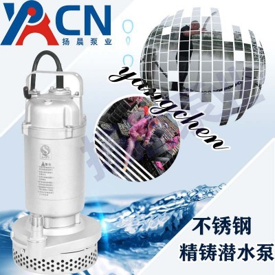 Q(D)X系列不锈钢小型潜水电泵图3