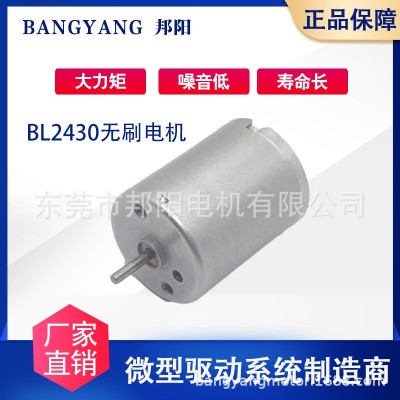 厂家生产 BL2430微型直流无刷电机跳绳机马达减速马达长寿命智能图3