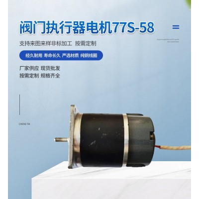 阀门执行器电机 77S-58 工业设备电机 齿轮箱电机 直流电机图3