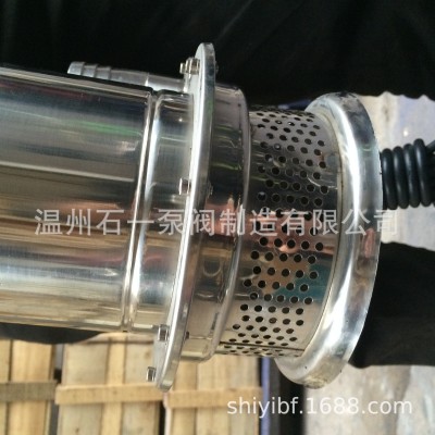 QDX不锈钢潜水泵拉伸清水304水泵QS小型家用抽水泵220V图4