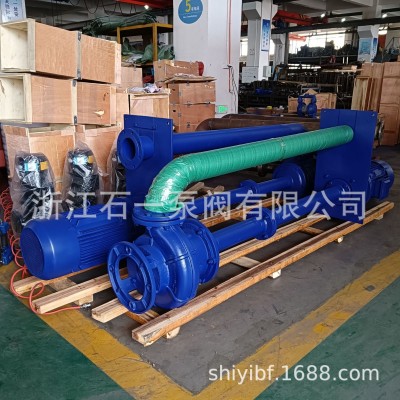 YW液下无堵塞不锈钢耐腐蚀耐磨高效污水排污水泵2寸液下泵图4