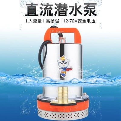 韩伦水泵厂家批发 60V直流不锈钢潜水泵 铝合金 台州水泵电机油泵图2