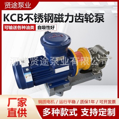 KCB不锈钢磁力齿轮泵 304材质保温磁力泵 KCB型卧式齿轮油泵图2