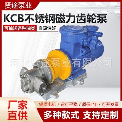 KCB不锈钢磁力齿轮泵 304材质保温磁力泵 KCB型卧式齿轮油泵图3