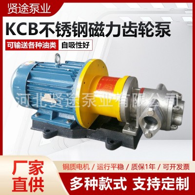 KCB不锈钢磁力齿轮泵 304材质保温磁力泵 KCB型卧式齿轮油泵图4