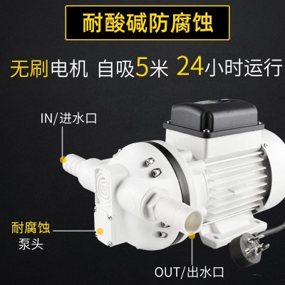 小型耐酸碱化工泵防腐蚀塑料泵电动自吸隔膜泵抽酒专用水泵食品级图2