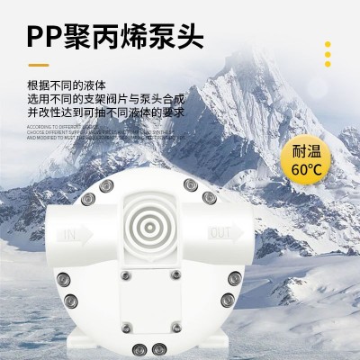 12V24V直流隔膜泵耐酸碱腐蚀自吸泵抽洗衣消毒液溶剂加药灌装水泵图3