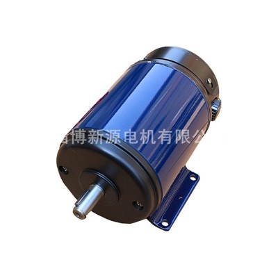 直流永磁电动机12V/36V/48V/110V/220V 185W--700W24V 直流电机图2