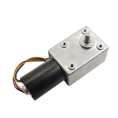 5882-4260直流无刷减速电机蜗轮涡杆金属齿自锁24V 12V低转速马达图5