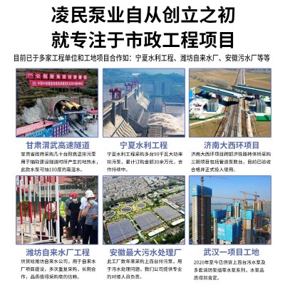 WQ304/316L高扬程不锈钢潜水污水泵耐酸碱腐蚀化工增压排污抽水机图3