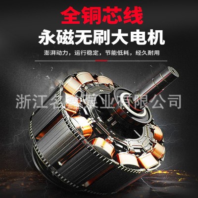 直流不锈钢切割污水泵48v60v72v电瓶车泵化粪池抽水农用灌溉浇地图4